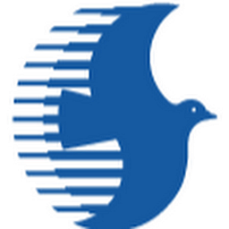 Shinki Bus Részvény