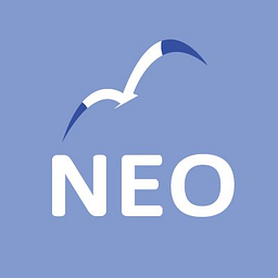 Neojapan Acțiune