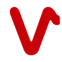 VALOR HOLDINGS Action