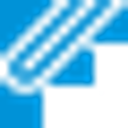 Fukui Computer Holdings Aandeel