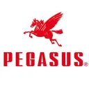 Pegasus Sewing Machine Stock