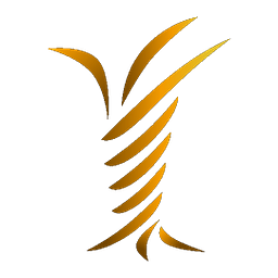 Rise Consulting Group Azione
