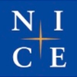 NICE Information Service Co