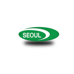Seoul Semiconductor Co Osake