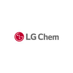 LG Chem Stock