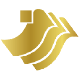 China Success Finance Group Holdings Ltd Aktie