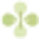 Medicskin Holdings Ação