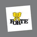 Grupa Forte Action
