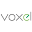 Voxel Action