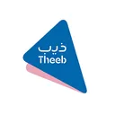 Theeb Rent a Car Company SJSC Stock
