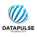 Datapulse Technology Stock