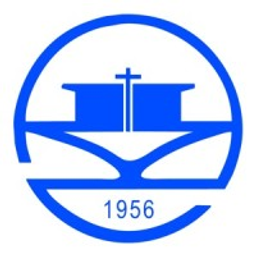 Yangzijiang Shipbuilding (Holdings) Stock