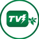 TV Thunder PCL Stock
