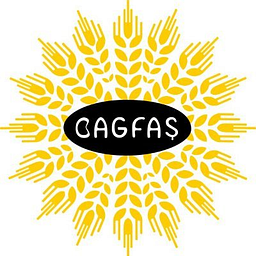 Bagfas Bandirma Gubre Fabrikalari AS Акция