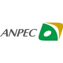 Anpec Electronics Action