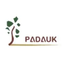 Padauk Technology Co Acción