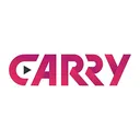 Carry International Co Stock