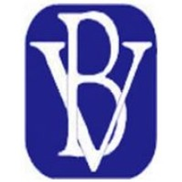 BV Financial Aktie