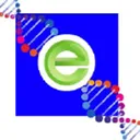 StimCell Enegetics Aksje