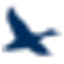 Chesapeake Financial Shares Action