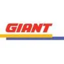 Giant Group Action