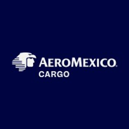 Grupo Aeromexico SAB de CV Action