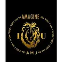 AMJ Global Technology Action