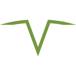 Nuvve Holding Stock