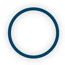 Oncolytics Biotech Action