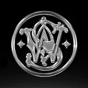 Smith & Wesson Brands Action