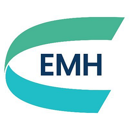 European Metals Holdings Stock
