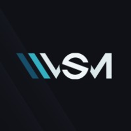VS Media Holdings Aktie