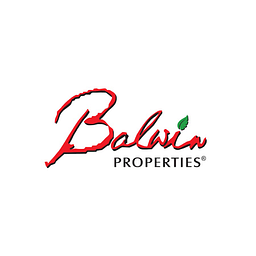 Balwin Properties Ltd Aktie