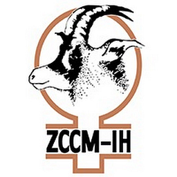 ZCCM Investments Holdings B Aktie