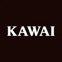 Kawai Musical Instruments Manufacturing Co Action