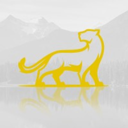 Leopard Lake Gold