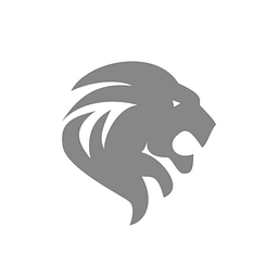 Lion E Mobility