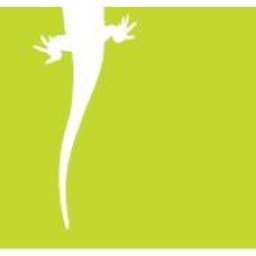 Lizard Investors LLC