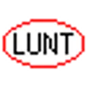 Lunt Capital Management Inc