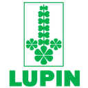 Lupin Stock