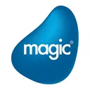 Magic Software Enterprises Stock
