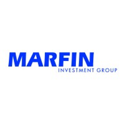 MIG Holdings Stock