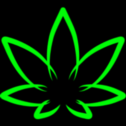 Medical Marijuana Inc