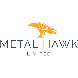 Metal Hawk Action