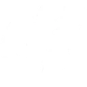 Metallium Stock
