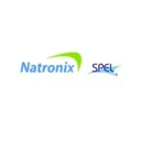 SPEL Semiconductor Action