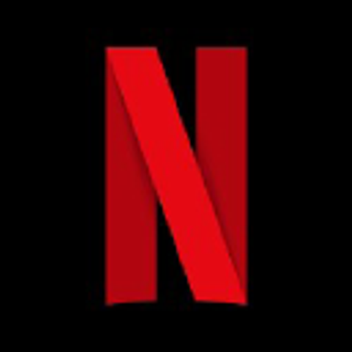 NETFLIX INC