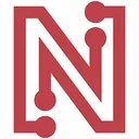 Netlist Stock