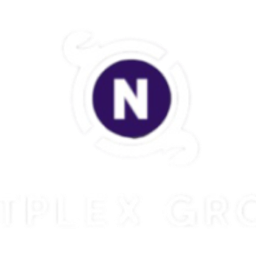 Netplex Group Aktie