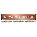 Nevada Copper Action